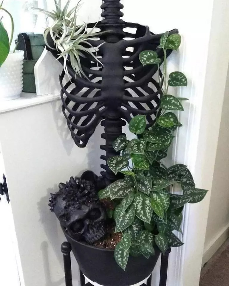 Skull Skeleton Flower Pot Decoration